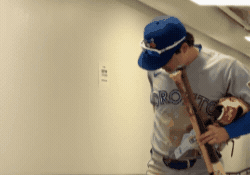 Blue Jays Win GIF by Toronto Blue Jays