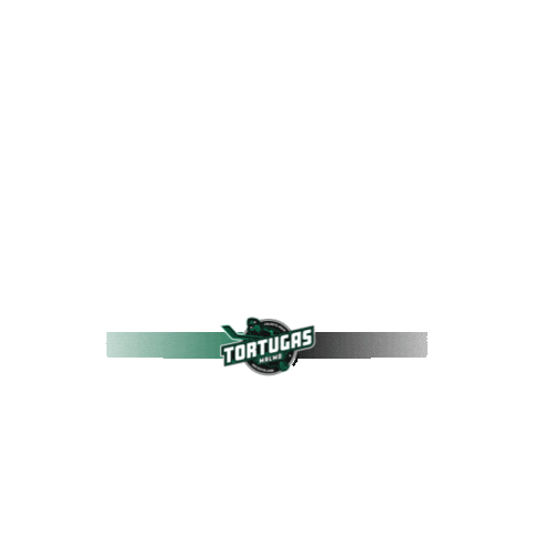 Folkets Puck Sticker by FPHK Tortugas (Folkets Puck Hockeyklubb)