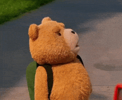 Bear Stare GIF
