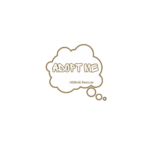 Adopt Take Me Home Sticker by HDBnQ Rescue