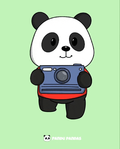 Photography Photo GIF by Pandu Pandas