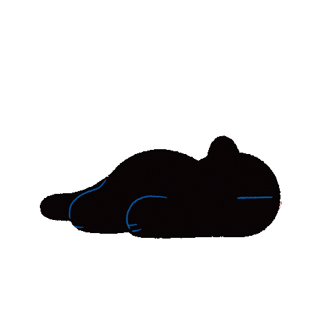 Cat Sticker