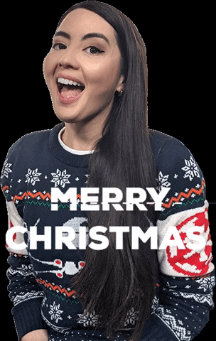 Merry Christmas GIF by outsidexbox