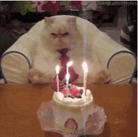 Scared Happy Birthday GIF by Piñata Farms: The Meme App - Find & Share on GIPHY Scared Happy Birthday GIF by Piñata Farms: The Meme App - Find & Share on GIPHY