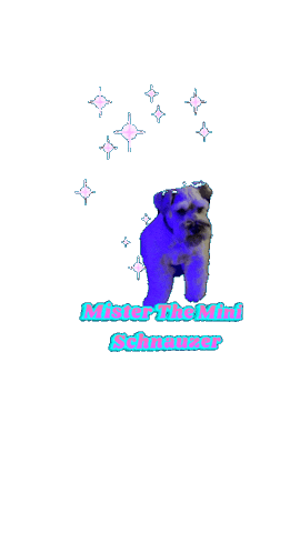 Dog Mister Sticker