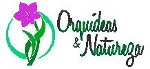Orquídeas & Natureza Sticker