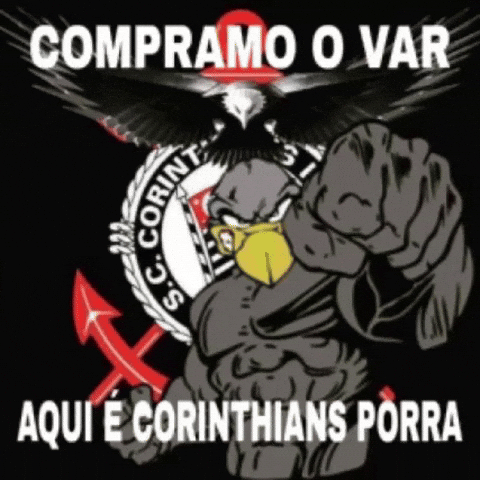 Santos Var GIF