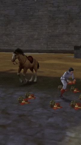 Silkroad Online Sro GIF