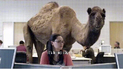 Guess Wednesday Morning GIF