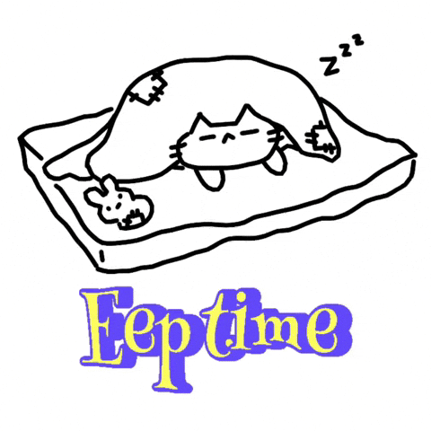 Good Night Cat GIF