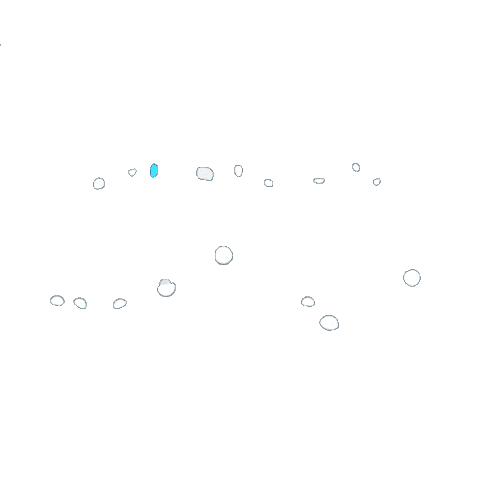 Exfoliating Toner Sticker by Everwhite