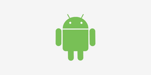 giphy.gif