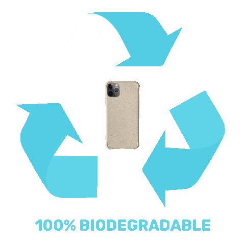 Fili Ph Sticker