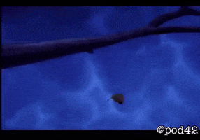 Sad Captain Underpants GIF