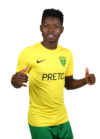 MŠK Žilina Sticker