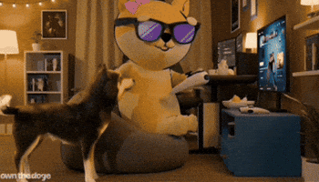 Video Game Discord GIF by Own The Doge
