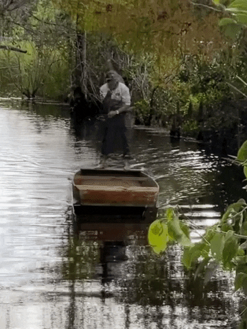 Theeverglades GIF