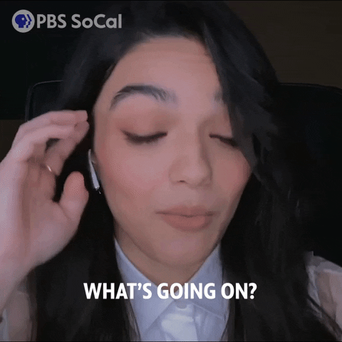 Whats Going On Omg GIF by PBS SoCal