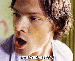 Wednesday Hump Day GIF