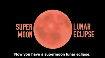 Blood Moon Space GIF by Mic