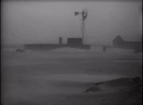 giphy.webp?cid=6c09b9522yq713ntsclsqb8fx