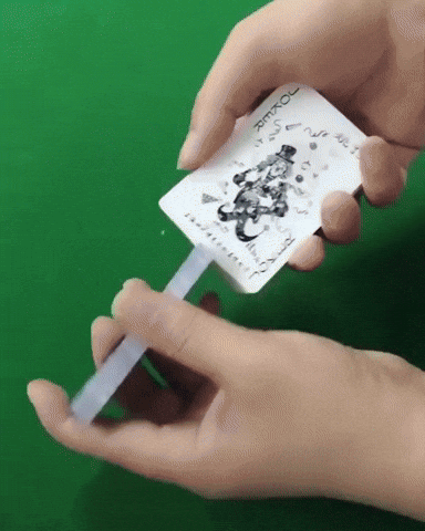 giphy.gif?cid=790b76114afd50d927a0f93b1d