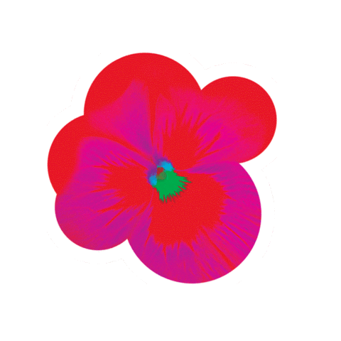 Flower Pansy Sticker by Kew Gardens