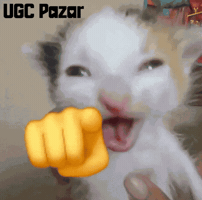 Cat Lol GIF by UGCPazar