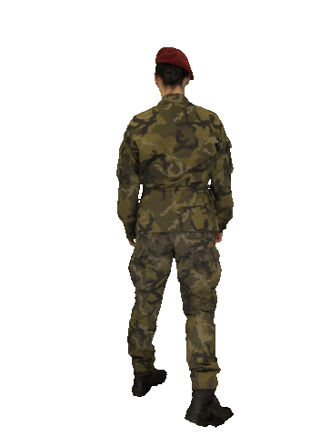 Armáda České republiky Sticker