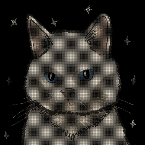 Cat Mood GIF