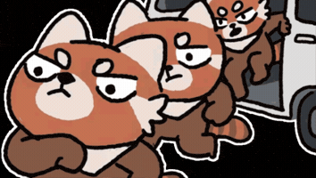 Pfy GIF