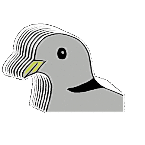 Birds Pigeon Sticker by Dovemania!