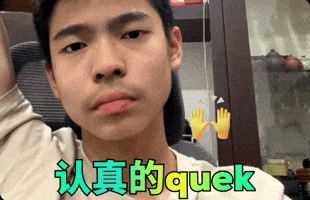 认真的Quek GIF