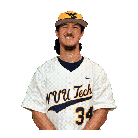 Baseball Sticker by WVU Tech Golden Bears