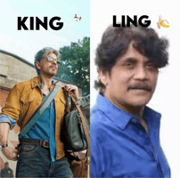 King Of Bollywood GIF
