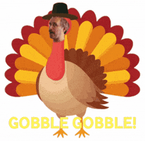 Thanksgiving Turkey GIF by timmelideo