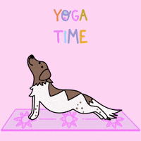 Yoga Time