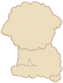 Salt Poodle Sticker