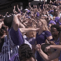 Horned Frogs Crowd GIF by TCU Athletics