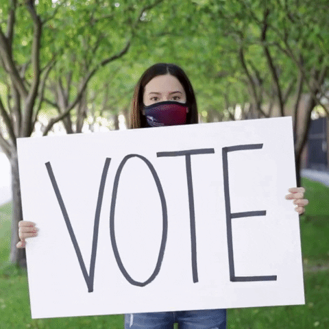 Register To Vote Metro State GIF by Rowdy the Roadrunner