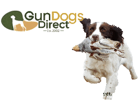 Gun Dogs Direct Sticker