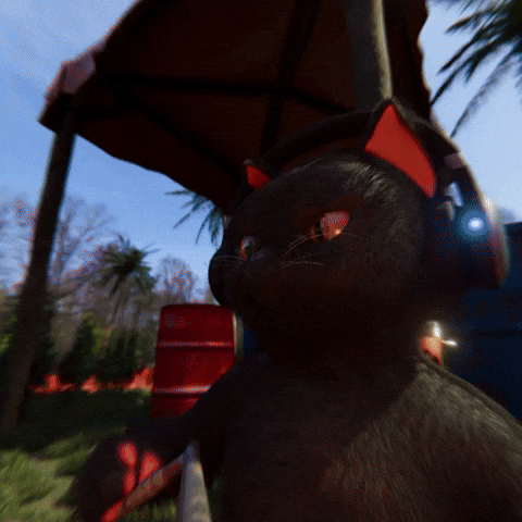 Cat GIF