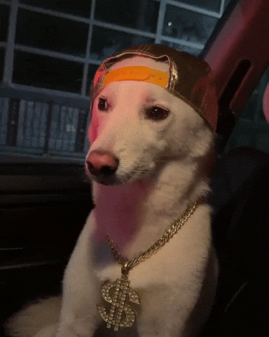Jindo GIF