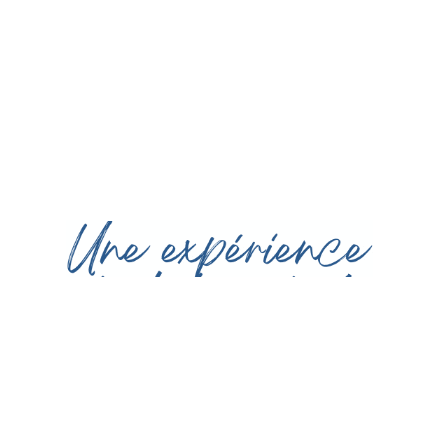 Cafe Experience Sticker by Abacane
