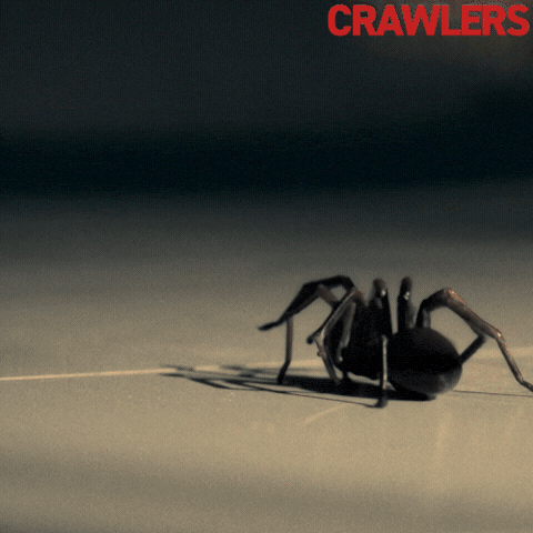 Spider Smash GIF by Roadside Attractions