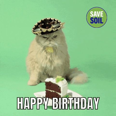 Happy Birthday Cat GIF by Art For Soil - Save Soil