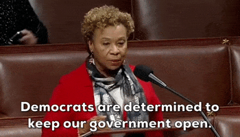 House Of Representatives GIF by GIPHY News
