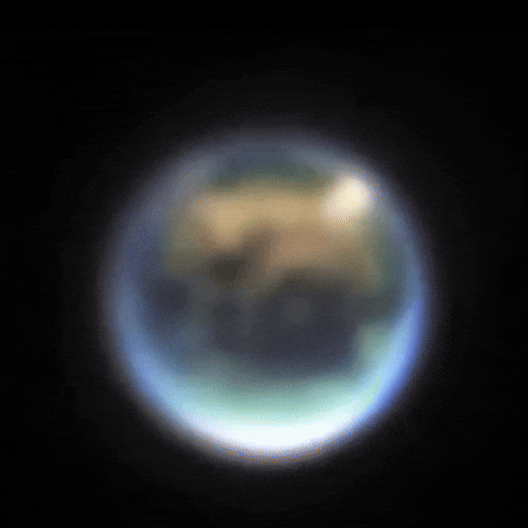 Life GIF