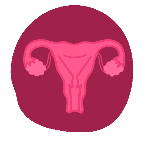 Obstetricia Sticker