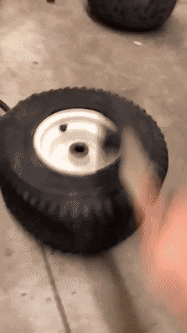 Wheel GIF